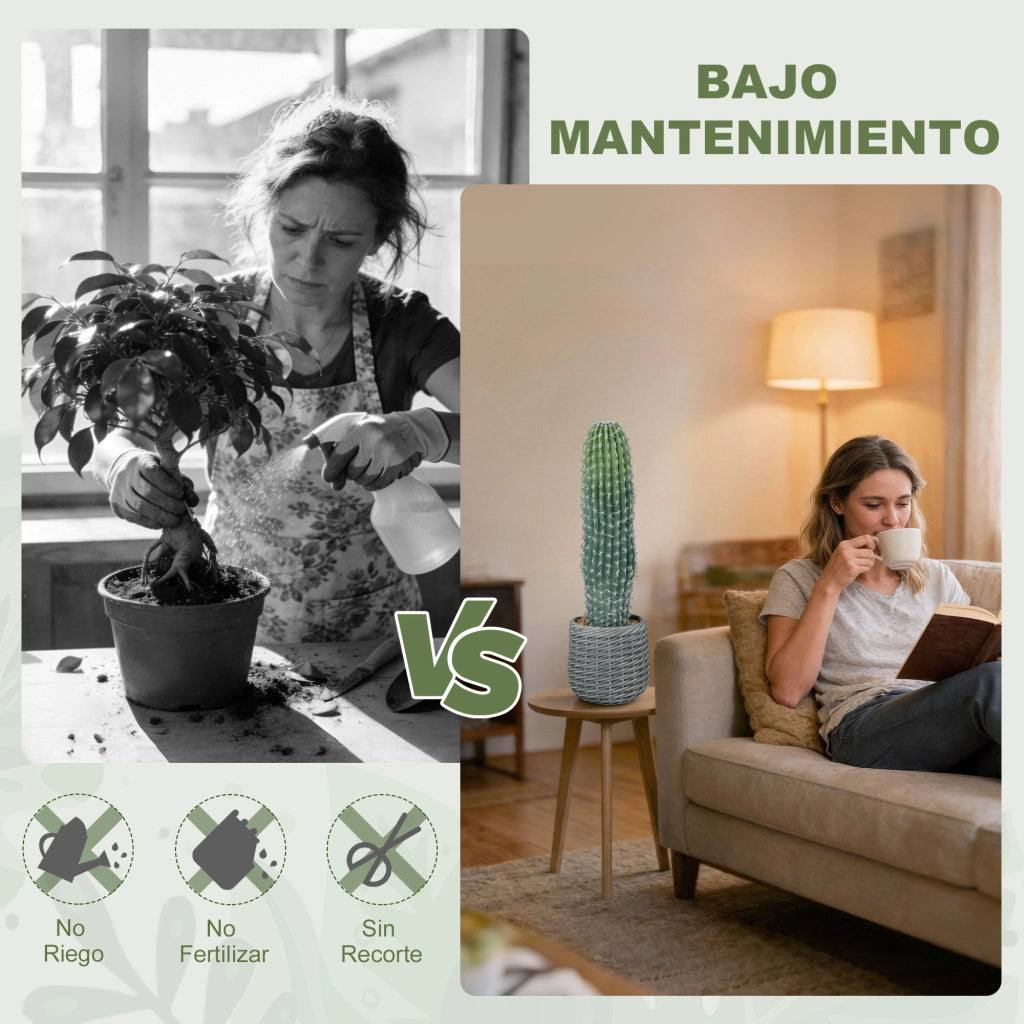 Cactus Artificiale Decorativo 66cm ¨C Xylo ¨C Verde con Vaso