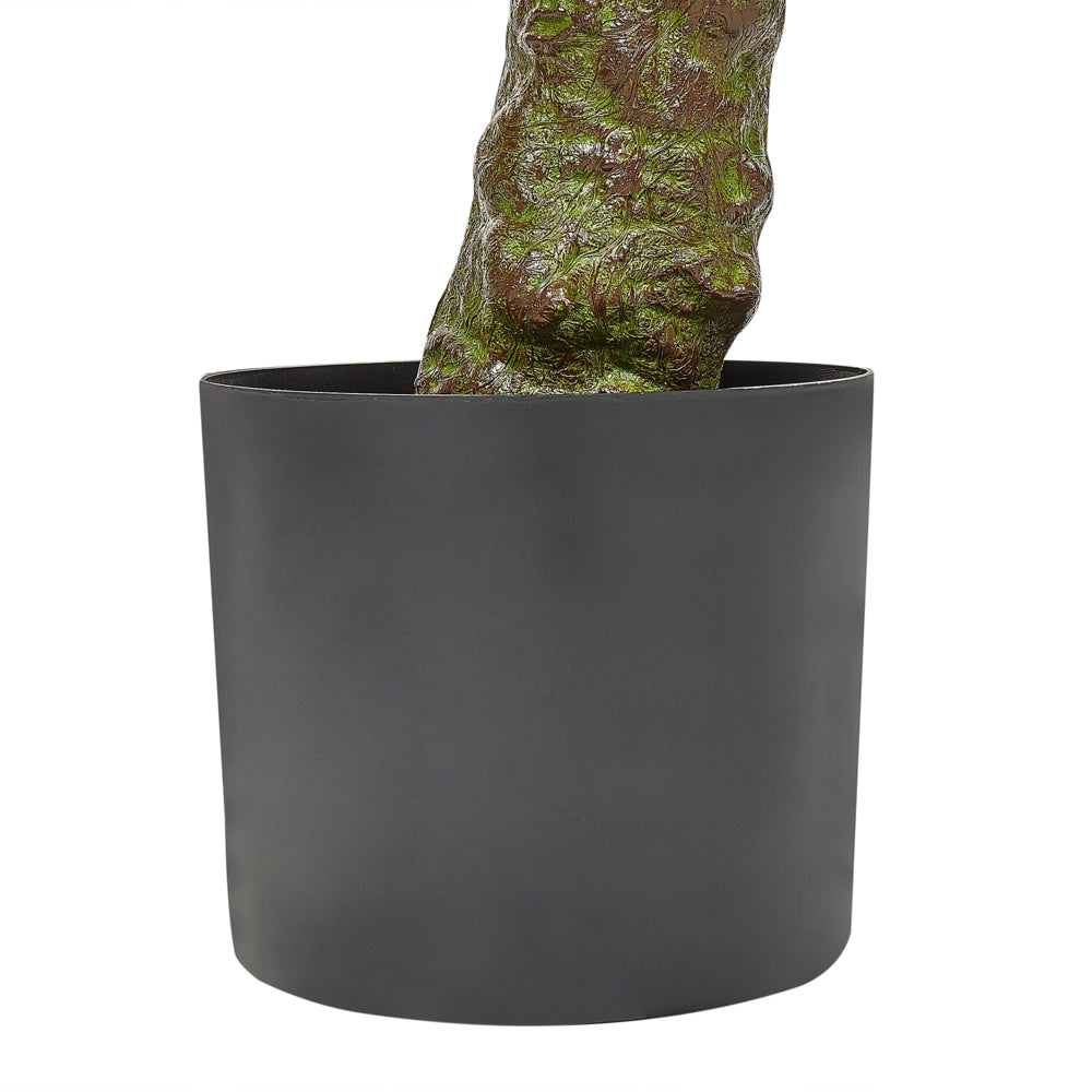 Pianta artificiale con vaso in plastica 160 cm nero pianta artificiale per interni ed esterni