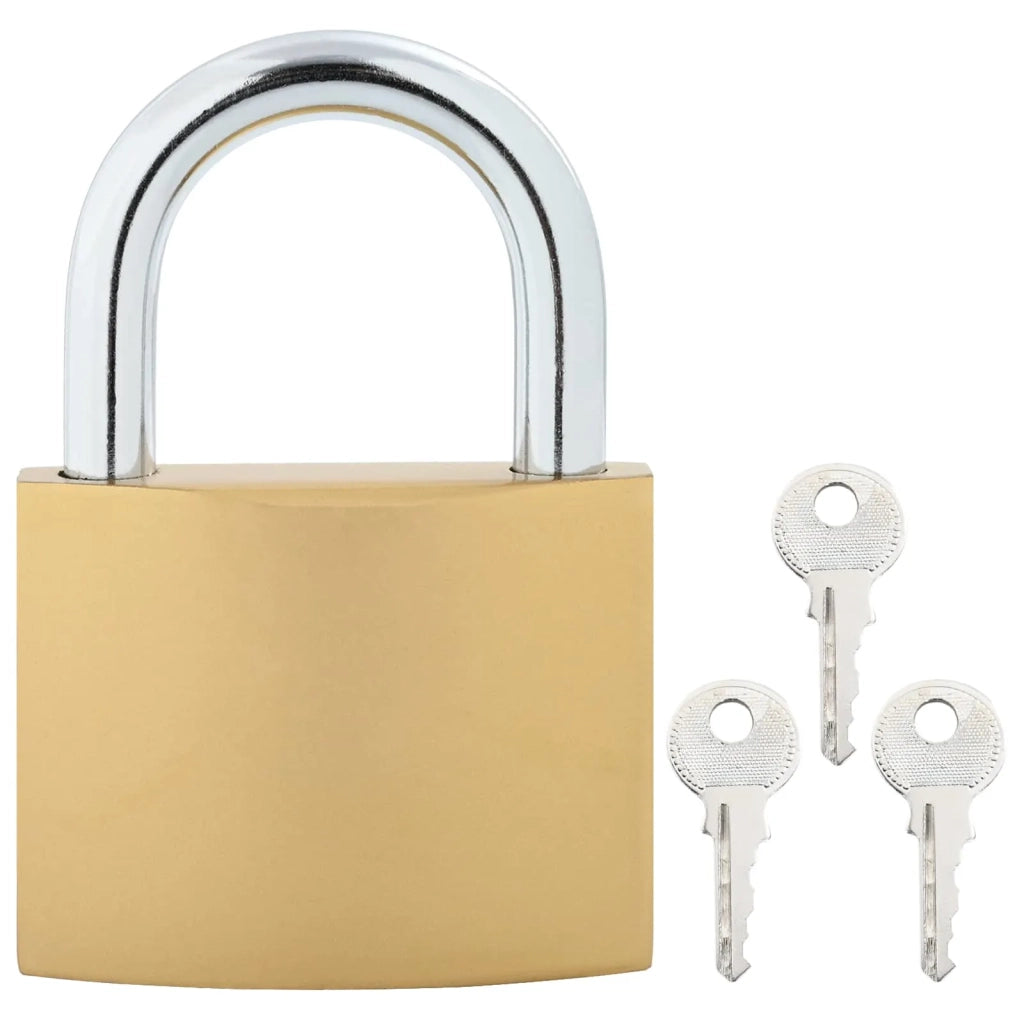 U Lock con Chiavi 6 pz Ottone Ferro CFW3910518
