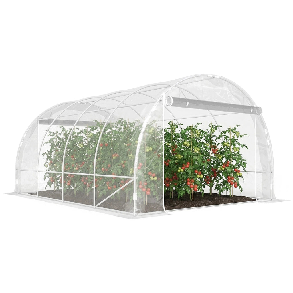 Serra Polytunnel ¨C Minimal ¨C Verde Trasparente 2x3x2m