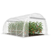 Serra Polytunnel ¨C Minimal ¨C Verde Trasparente 2x3x2m