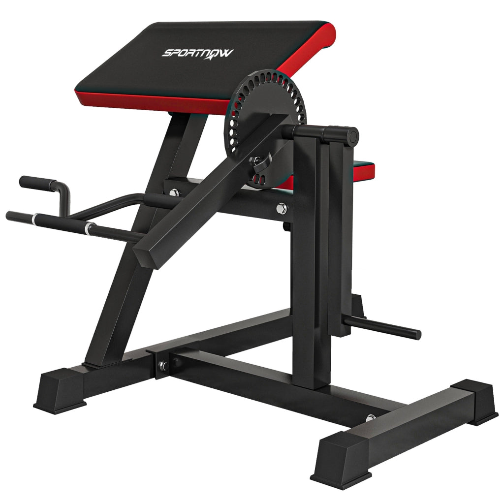 Panca Romana 2 in 1 per Curl e Tricipiti con Sedile a 5 Livelli e 25 Regolazioni, Nero