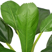 Albero Banana Artificiale con Vaso 150 cm Verde 244454