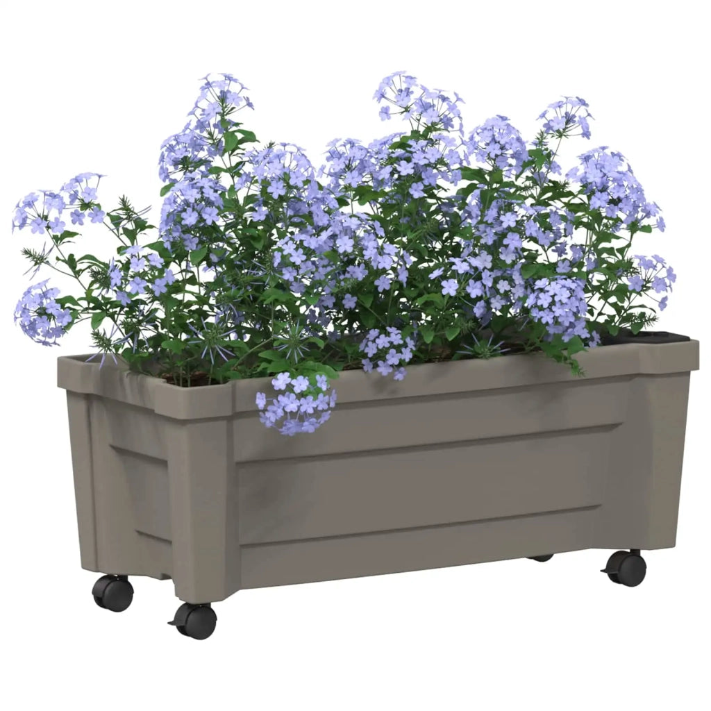 Vaso Calypso con Ruote Grigio 79 x 35 x 33 cm PP