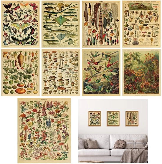 Poster botanico da parola 9 pezzi - decorazione per parete per salotto