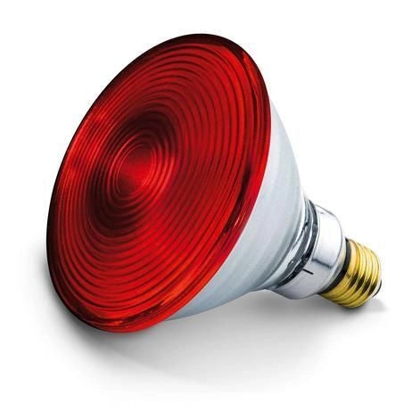Beurer 61651 lampada a infrarossi 150 W