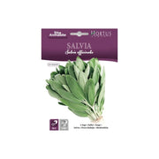 Salvia DB