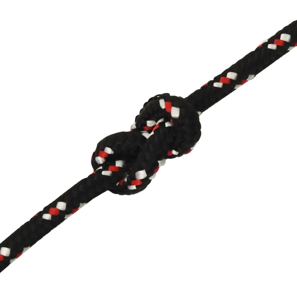 Corda per barca Nera 14 mm 25 m in Polipropilene 152356