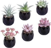 Piante artificiali in vaso - Set di 6 pezzi per decorazione di ufficio casa