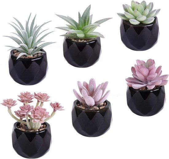 Piante artificiali in vaso - Set di 6 pezzi per decorazione di ufficio casa