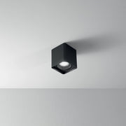 Plafoniera Moderna Brick Metallo Grafite Vetro 1 Luce Gu10