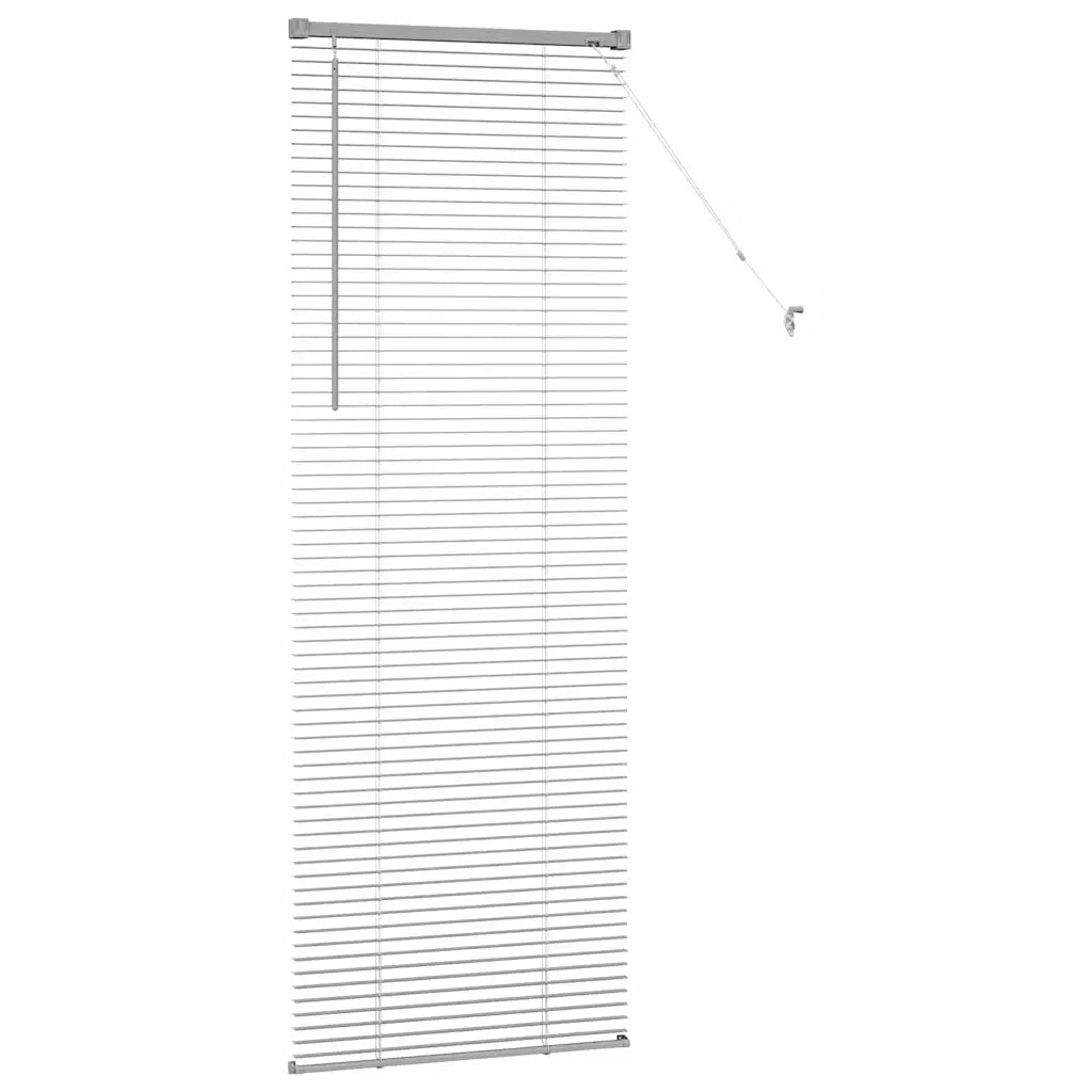 Tendaggi a Veneziana | Tenda a lamelle Argento 175 x 60 cm Alluminio