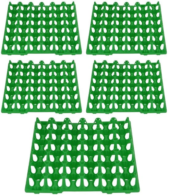 Esercizio plastico per uova - 5 pezzi - verde