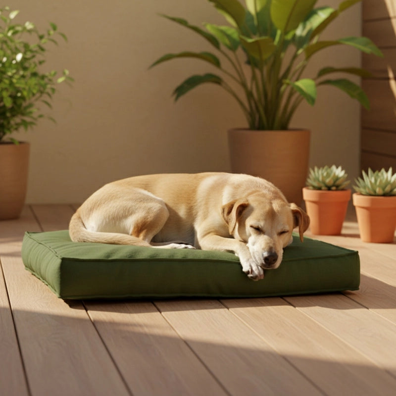Coussin pour chien PANAMA 100 x 68 cm - MADISON SÃ©rie Lounge - Vert