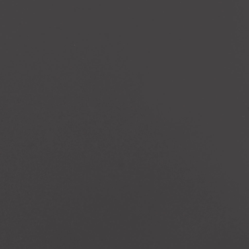Schermo di Privacy 180 cm Acciaio Nero
