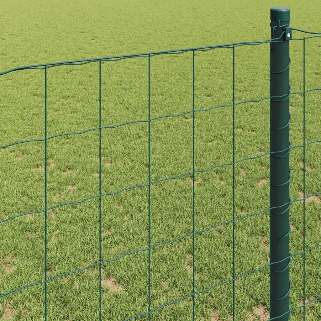 Recinzione Euro Verde 1 x 10 m Ferro rivestito in PVC 42004357