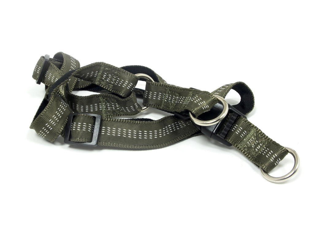 Pettorina Per Cani Regolabile E Resistente Modello Color Doggy - L - Verdone