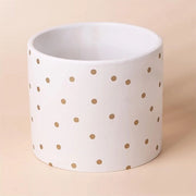 Piantine Cachepot Indoor in Ceramica - Punto d'Oro - 15cm - Ceramica