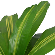 Dracena Pianta Artificiale con Vaso-Piante Decorative 90 cm Verde