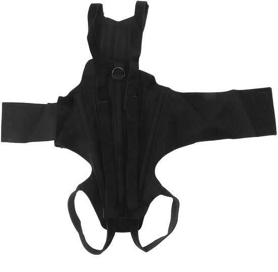 Sostegno per Colonna Vertebrale - Cinture Adattabili - Operazione di Riparazione - Artrite - Hernia - Dimensione L - Assistenza per Animali da Compagnia