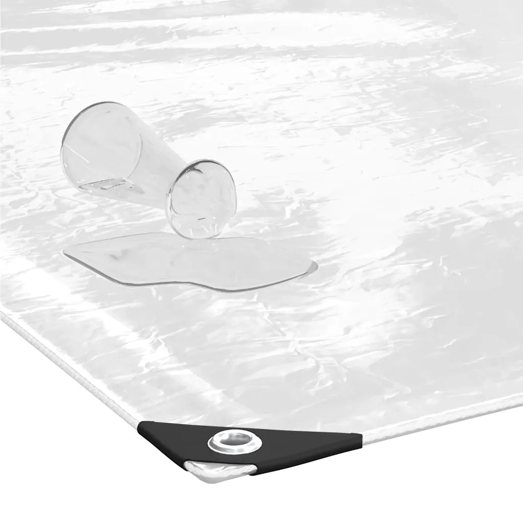 Telone Trasparente con Occhielli 1x10 m in PVC 4018589
