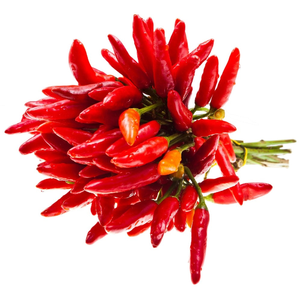 CONCIME specifico PEPERONCINI GRANULARE aumenta la piccantezza 500 GR FLORTIS