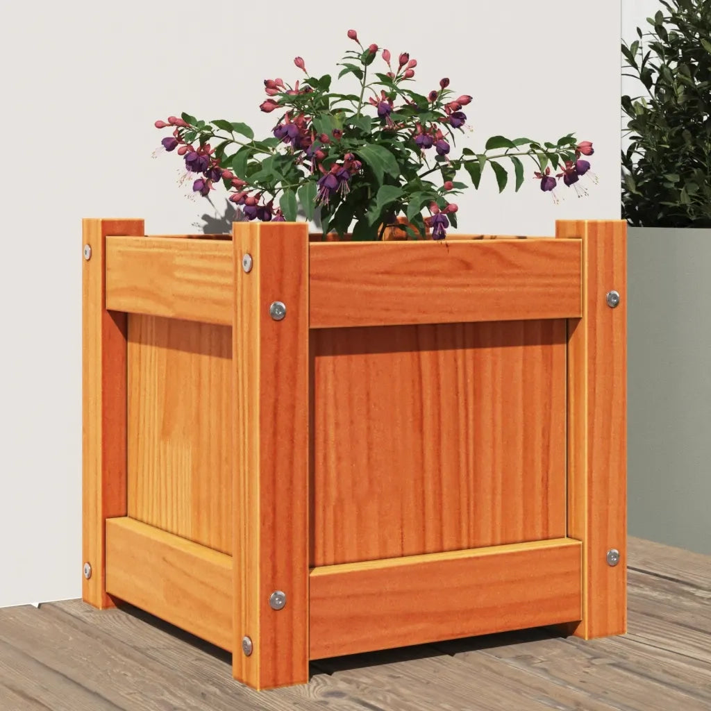 Fioriera Giardino Marrone Cera 31x31x31 cm Legno Massello Pino 837398