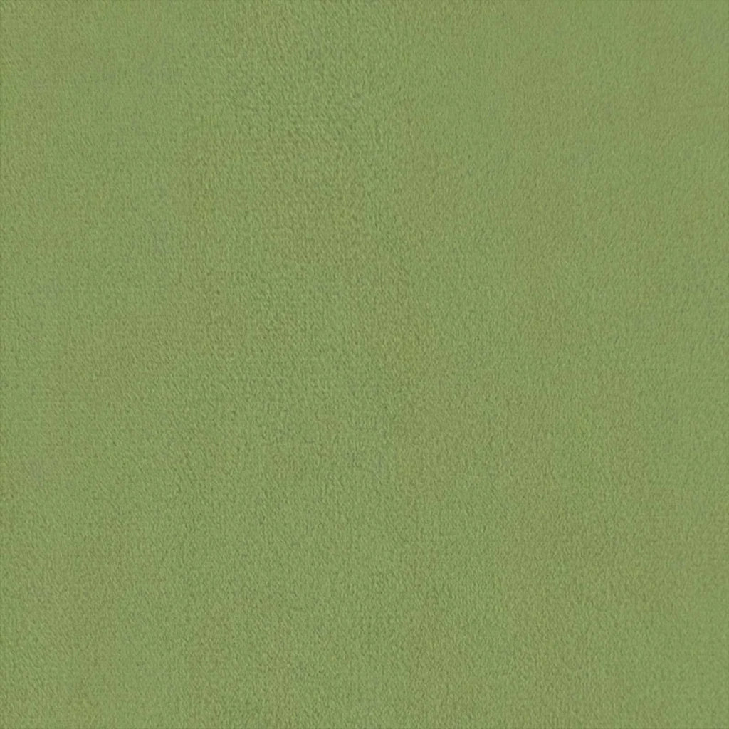 Poltrona Verde chiaro Velluto (V) 42042432