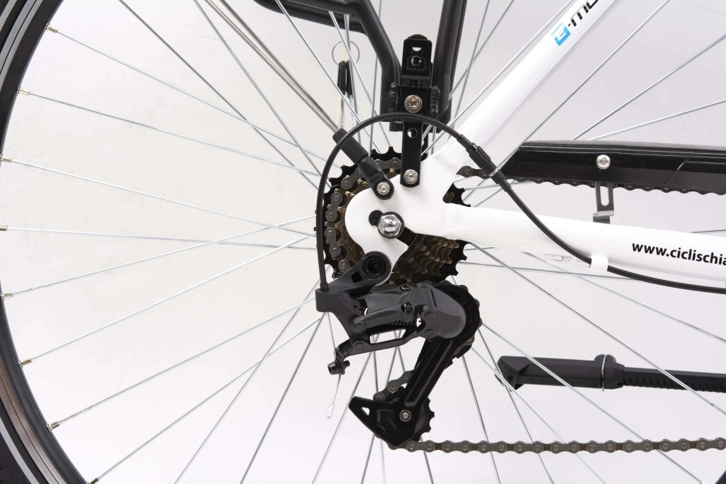 Bici elettrica SCH E-Moving 28'' city Bianca