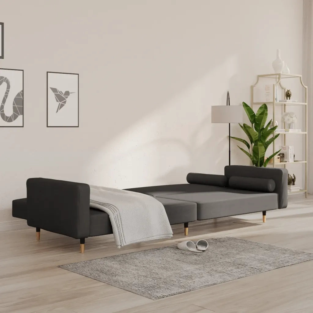 Divano letto | Sof¨¤ letto | Letto singolo a 2 Posti con 2 Cuscini Grigio Scuro in Velluto