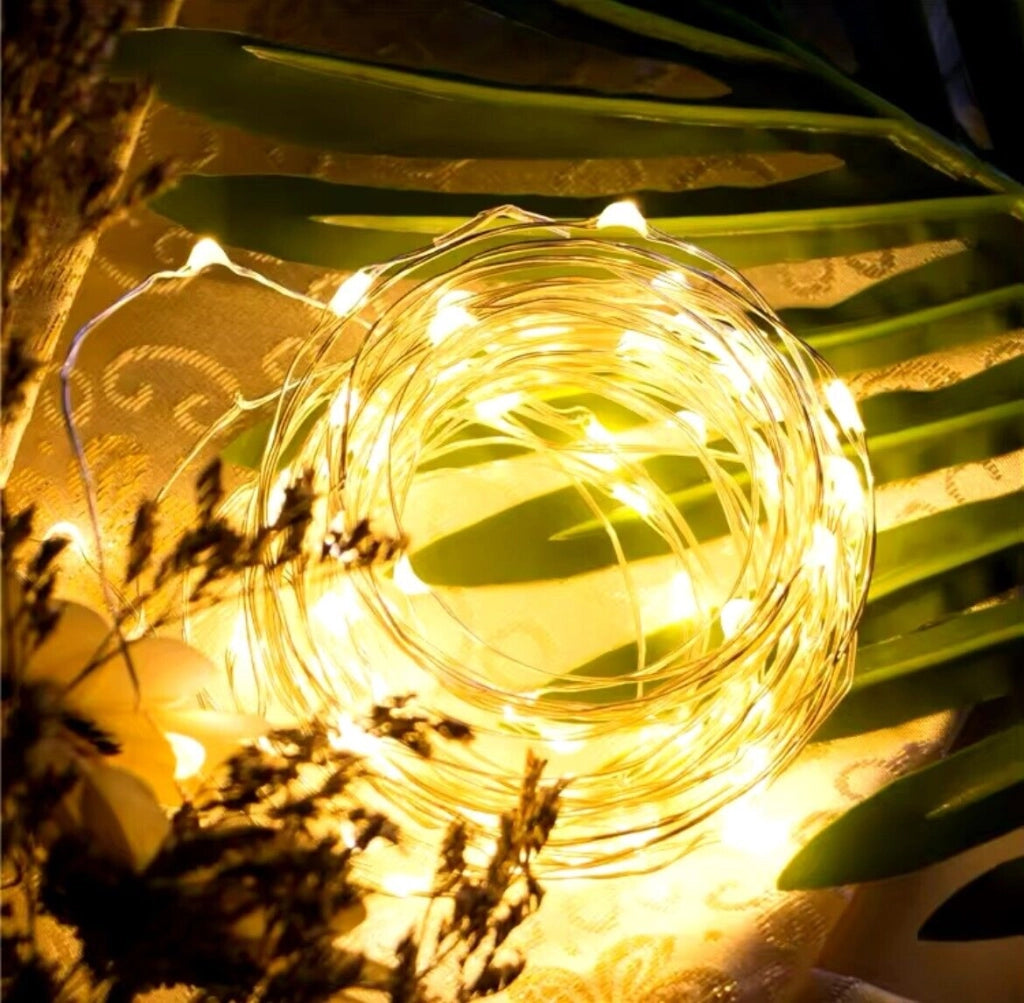 Serie luci Natale a led catena USB Microled luce calda filo rame con Telecomando