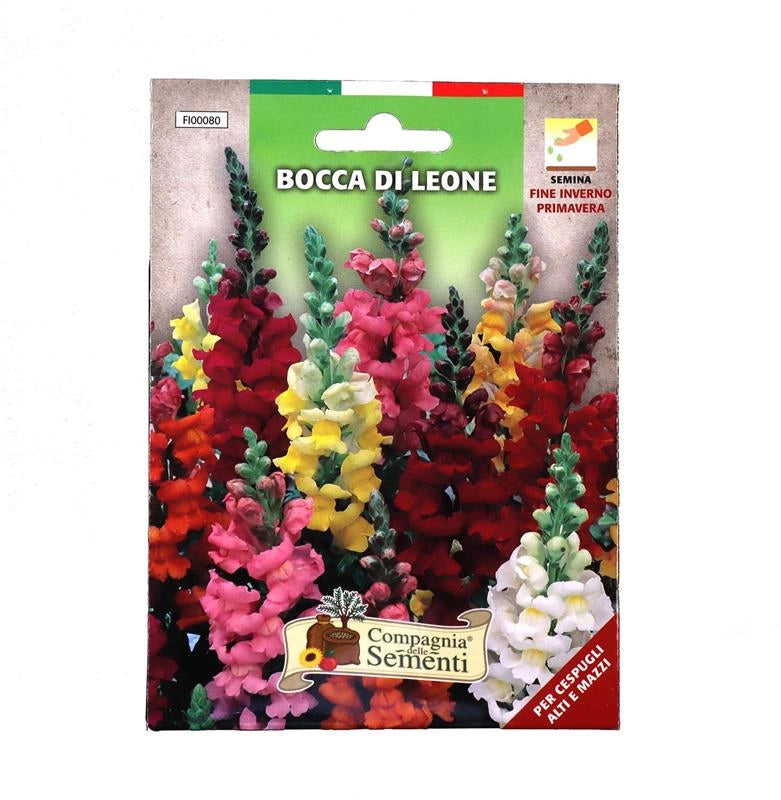BUSTA SEMENTI FIORI BOCCA DI LEONE SEMINA FINE INVERNO/PRIMAVERA BUSTINA INTERNA SALVA SEMI