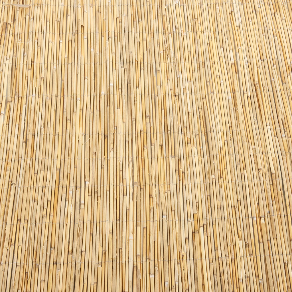 Recinzione Frangivista Abbateggio in Canna Naturale 120 x 600 cm casa.pro