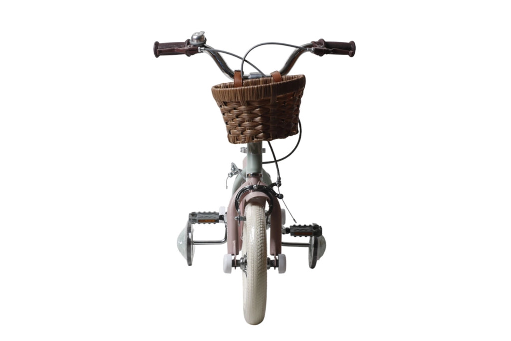 Bicicletta per Bambine Antonella 12 Pollici con Stabilizzatori e Cestino Verde e Rosa Verde e Rosa