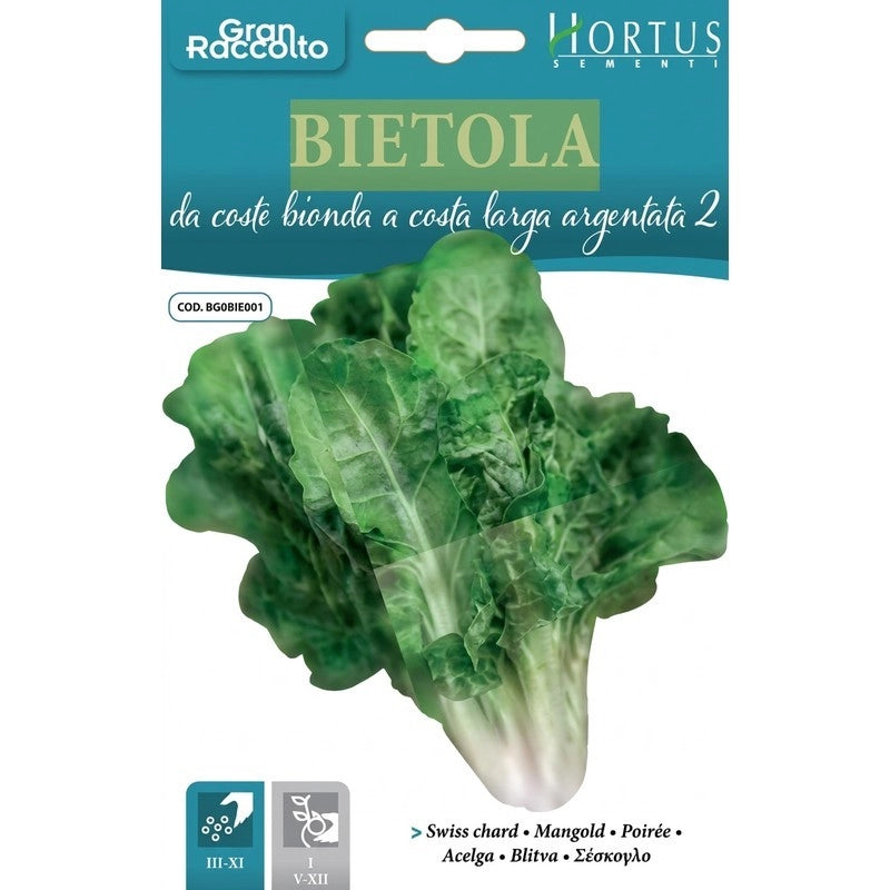 Bietola da Coste Bionda Costa Argentata 2 Gran Raccolto