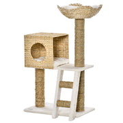 Tiragraffi per Gatti ¨C Xylo ¨C Altezza 100,5 cm con Cuscini e Scala