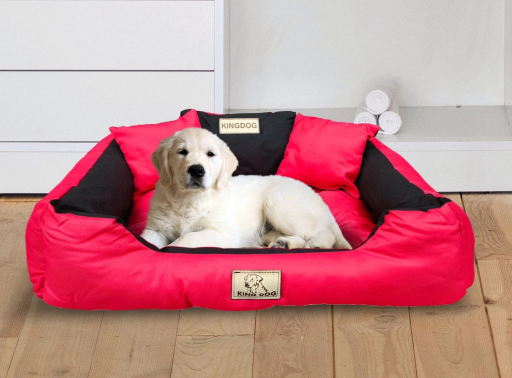 AIO FACTORY 145x115 cm KINGDOG Cuccia per cani impermeabile personalizzabile rossa