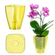 Copertura per vaso da fiori KADAX per orchidee, supporto per fiori, piante in plastica, giallo, tinta unita, 9 cm