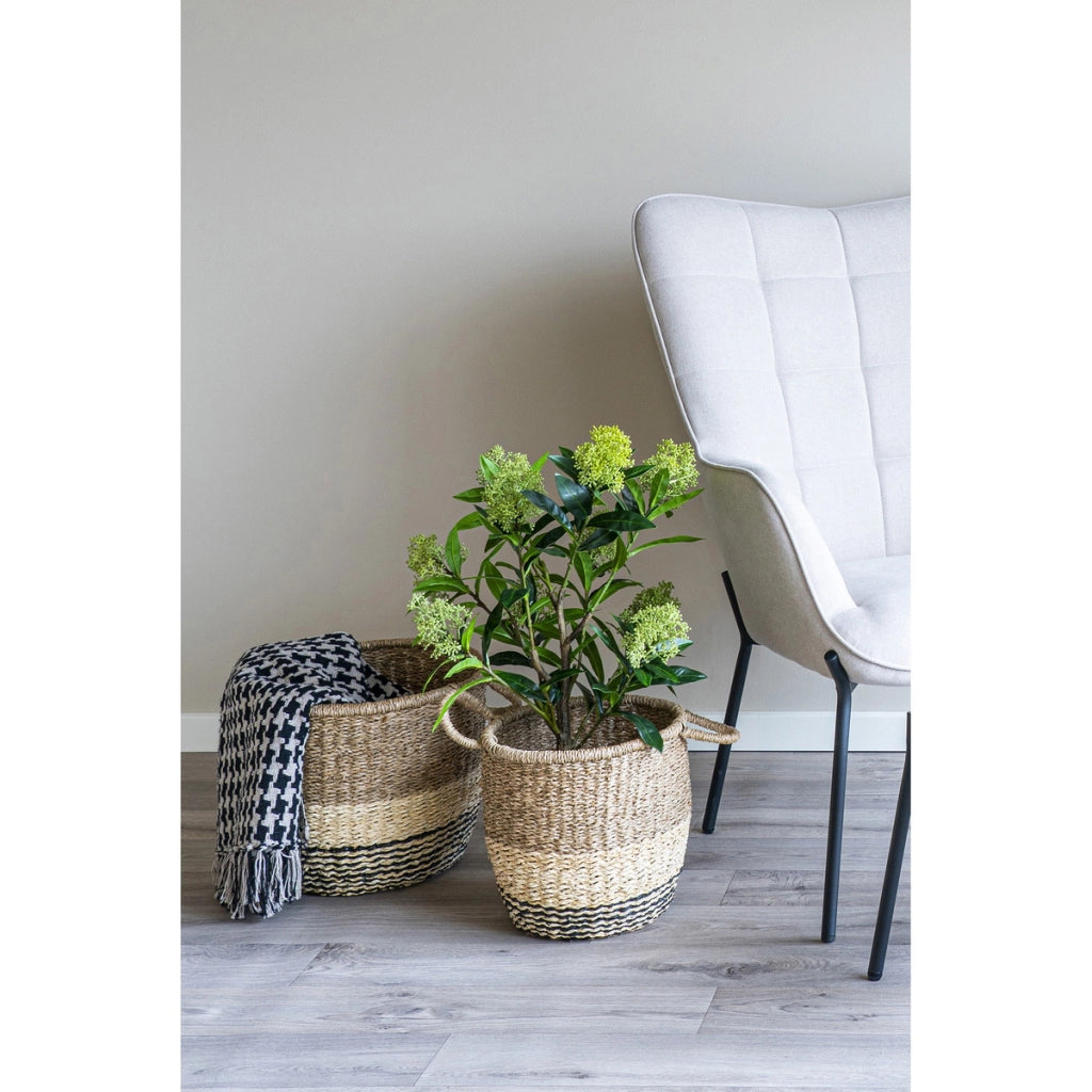 Pianta Artificiale Skimmia, Verde, Polietilene, 40x40x75 cm