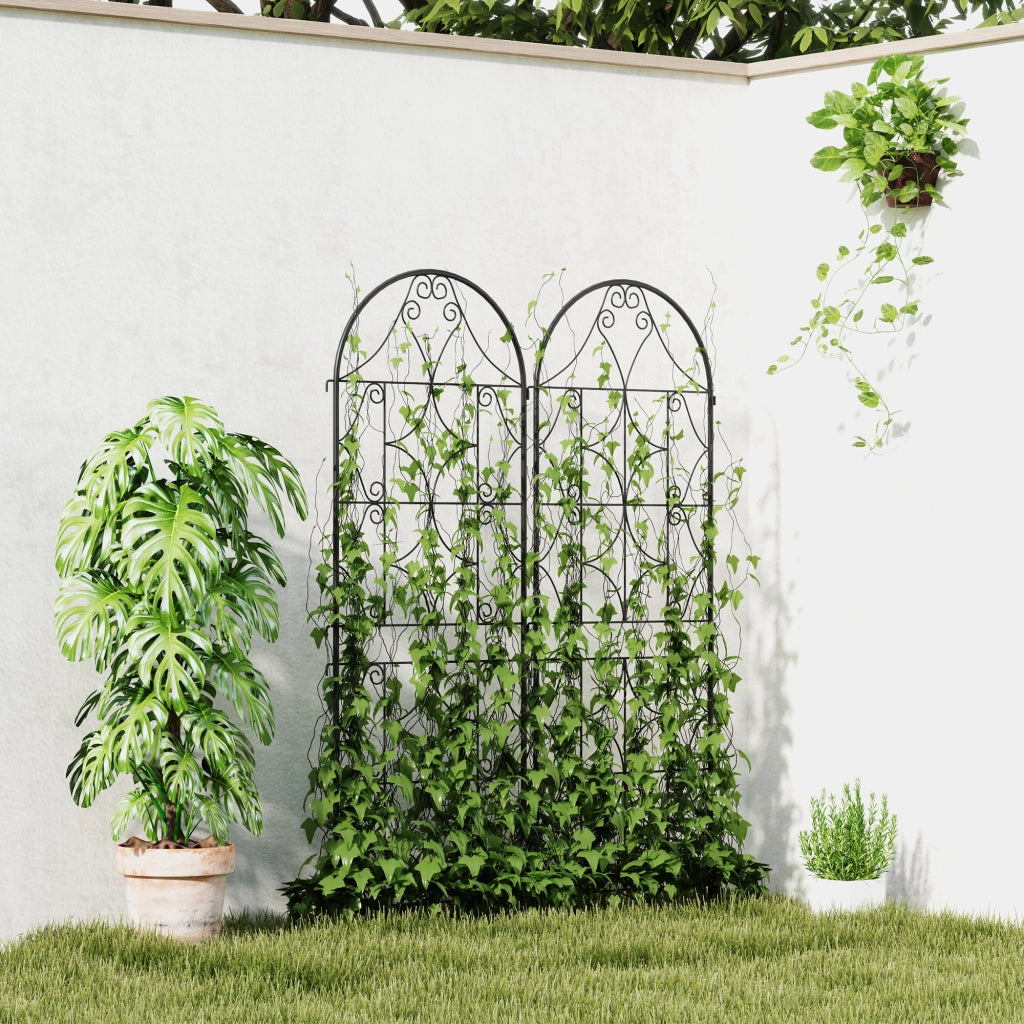 Griglia per rampicanti set 2 pezzi ¨C Xylo ¨C metallo nero 50x150 cm