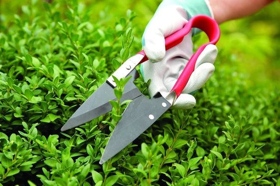 Snoeischaar compatta rosso 300 mm* 2550 mm* 850 mm - attrezzi per giardinaggio