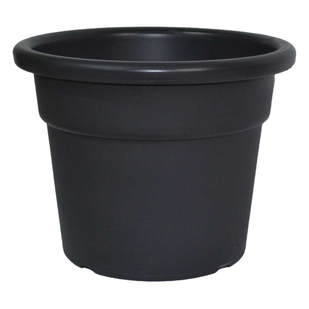 VASO NORMALC.COL. ANTRAC. CM.25
