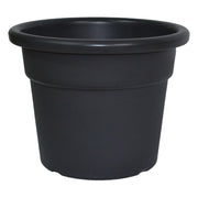 VASO NORMALC.COL. ANTRAC. CM.25
