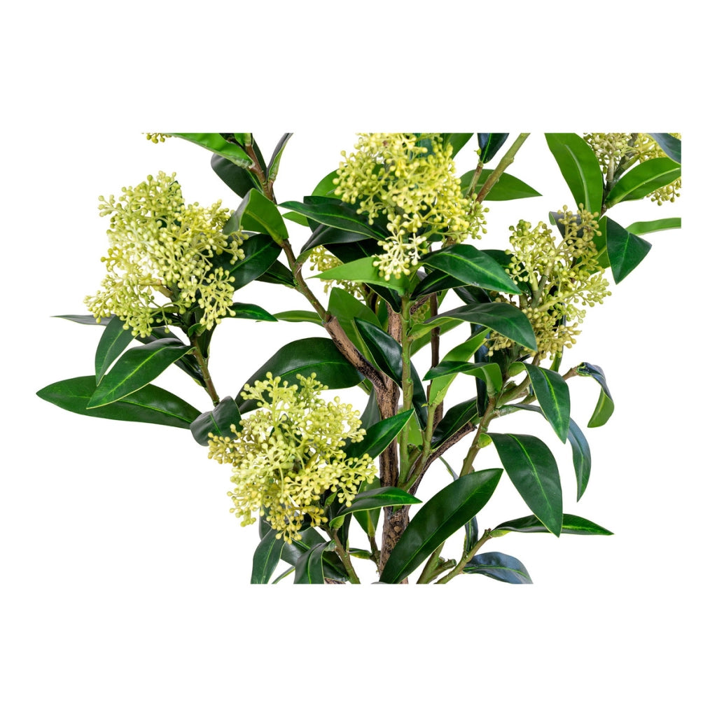 Pianta Artificiale Skimmia, Verde, Polietilene, 40x40x75 cm