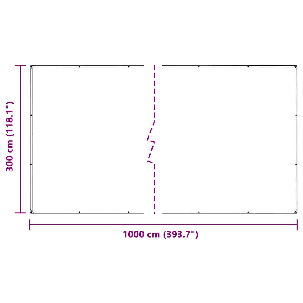 Telone Trasparente con Occhielli 3x10 m in PVC 4018604