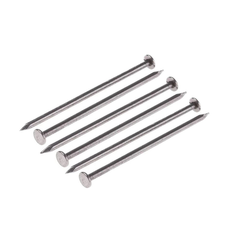 C CHIODI TESTA PIANA BL.100G 16X60- 6,0 pz