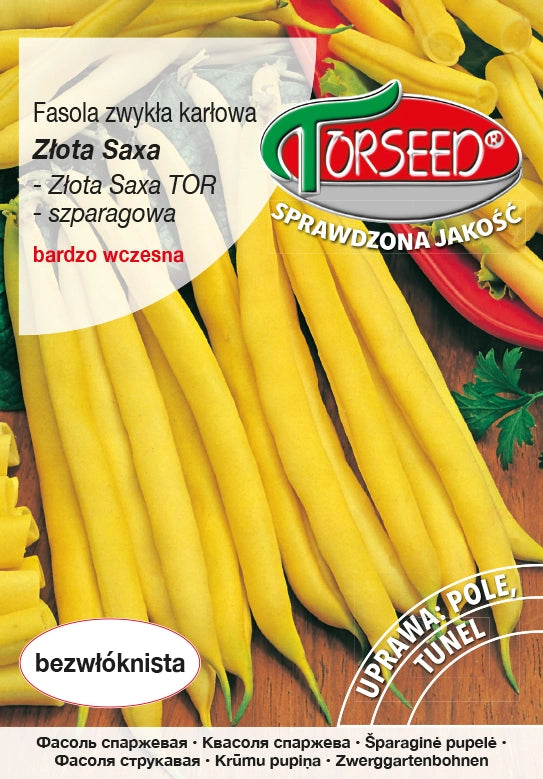 Fagiolini nani con baccello giallo Złota Saxa 50g