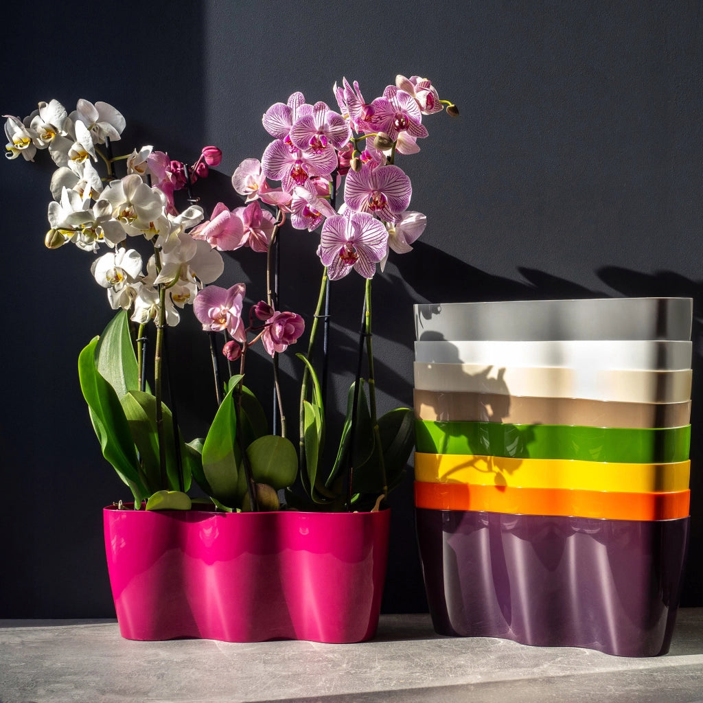 Vaso da fiori KADAX, Vaso da fiori, Vaso da fiori in plastica, Orchidea, 35 cm, Grigio