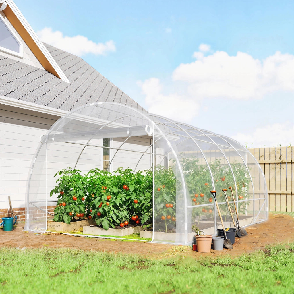 Serra Polytunnel ¨C Minimal ¨C Verde Trasparente 2x3x2m