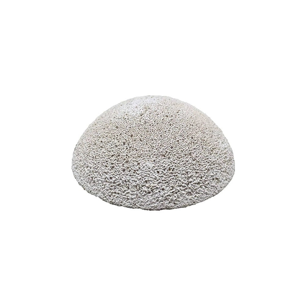 Brightwell Aquatics HemiXSphere - basetta emisferica per la taleazione dei coralli 1pz